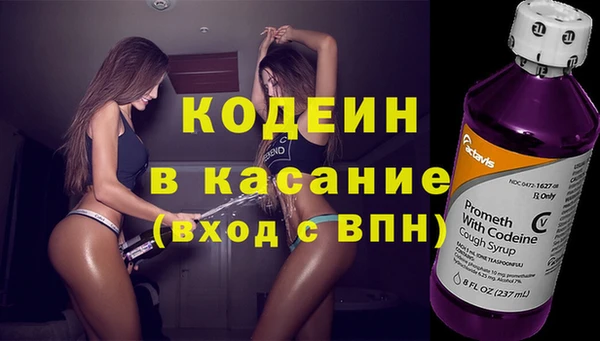 шишки Коряжма