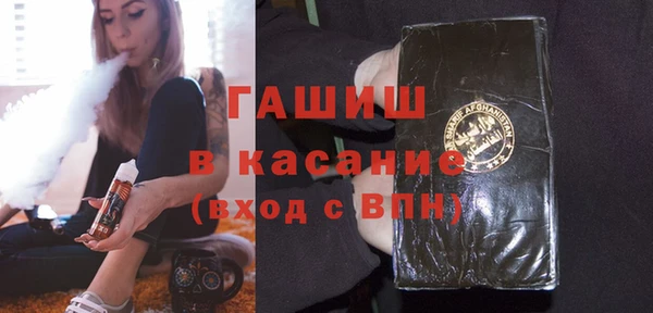 шишки Коряжма