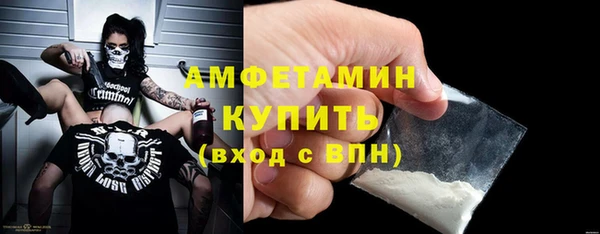 шишки Коряжма