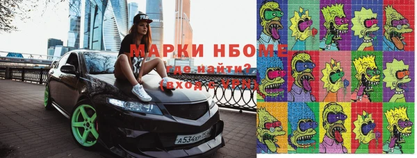 шишки Коряжма