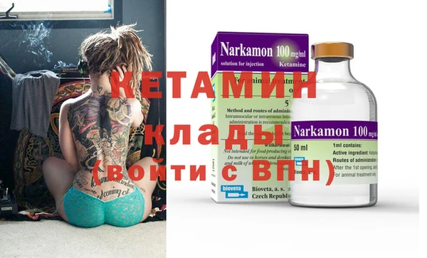 шишки Коряжма