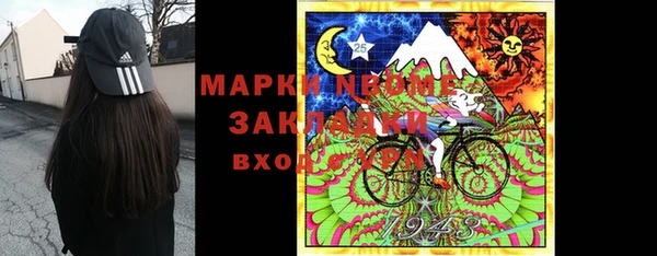 шишки Коряжма