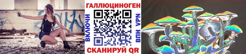 Псилоцибиновые грибы Psilocybine cubensis Северск