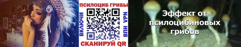 купить закладку  Северск  Псилоцибиновые грибы GOLDEN TEACHER 